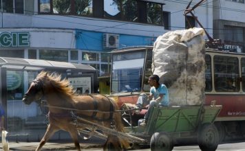 Municipalitatea se apuca de ridicat carute