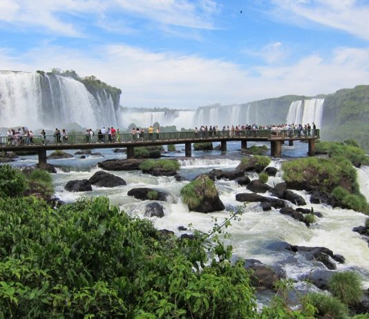 Paradisul pasarilor sau calatoria lui Blu la Foz de Iguacu