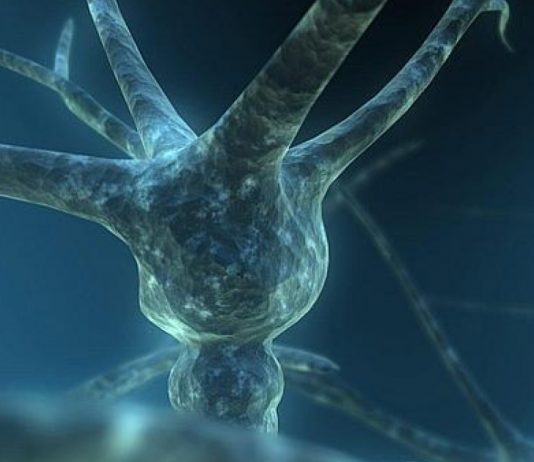 Moartea neuronala: ce este si de ce apare?